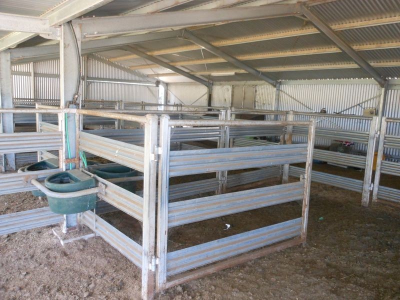 3680 Scenic Rd, Young NSW 2594