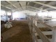 3680 Scenic Rd, Young NSW 2594