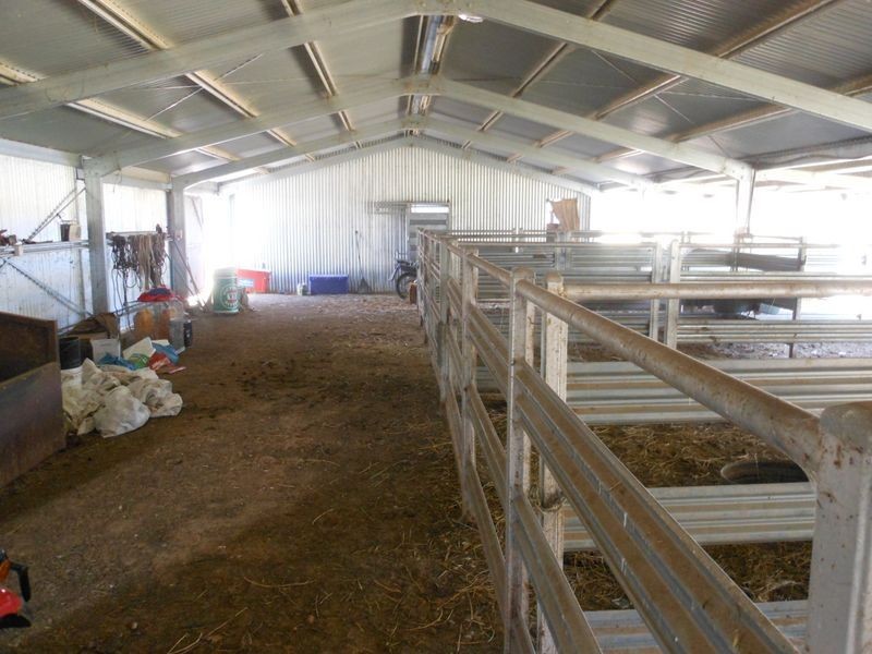 3680 Scenic Rd, Young NSW 2594