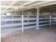 3680 Scenic Rd, Young NSW 2594