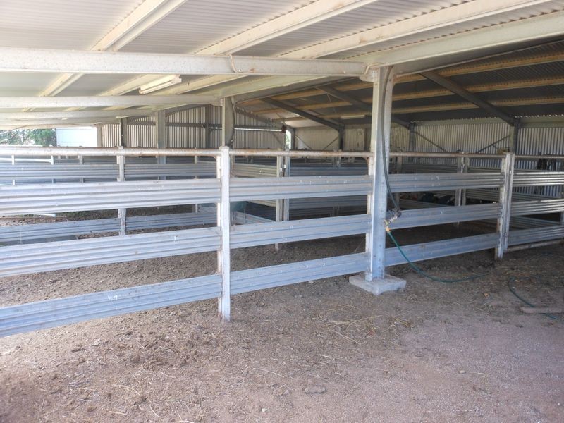 3680 Scenic Rd, Young NSW 2594