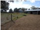 3680 Scenic Rd, Young NSW 2594