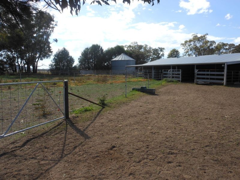 3680 Scenic Rd, Young NSW 2594