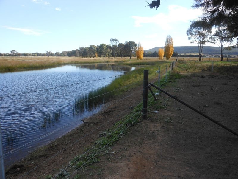 3680 Scenic Rd, Young NSW 2594