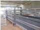 3680 Scenic Rd, Young NSW 2594