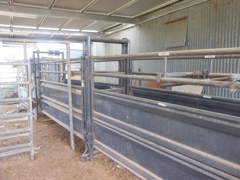 3680 Scenic Rd, Young NSW 2594