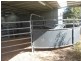 3680 Scenic Rd, Young NSW 2594