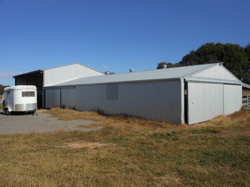 3680 Scenic Rd, Young NSW 2594