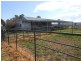 3680 Scenic Rd, Young NSW 2594