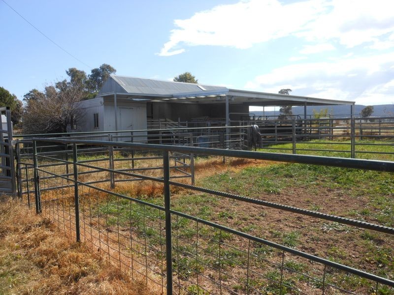 3680 Scenic Rd, Young NSW 2594