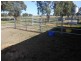 3680 Scenic Rd, Young NSW 2594