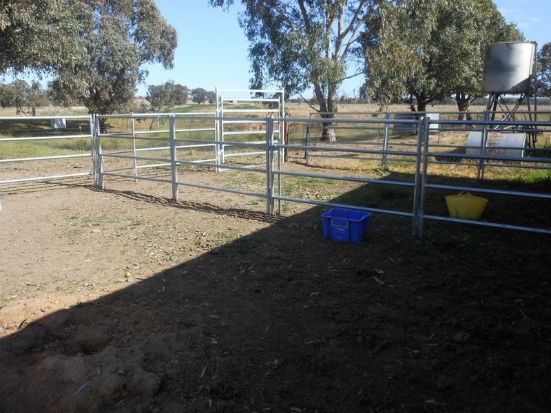 3680 Scenic Rd, Young NSW 2594