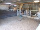 3680 Scenic Rd, Young NSW 2594