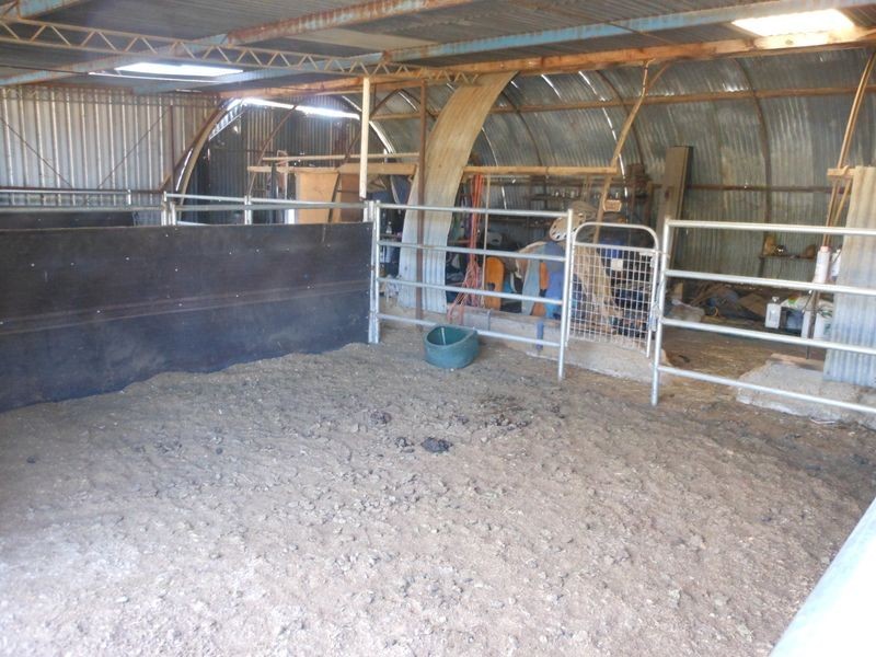 3680 Scenic Rd, Young NSW 2594