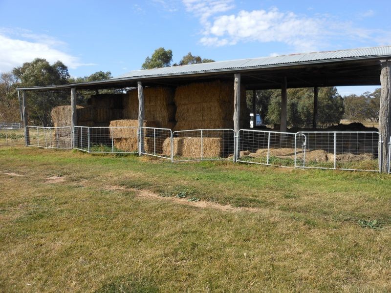3680 Scenic Rd, Young NSW 2594