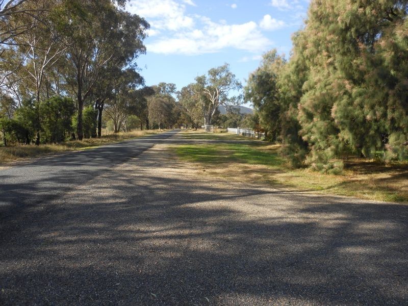3680 Scenic Rd, Young NSW 2594