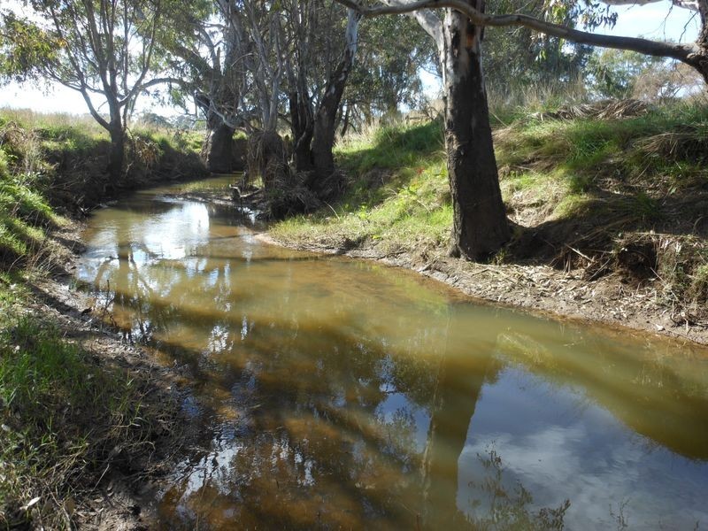 3680 Scenic Rd, Young NSW 2594