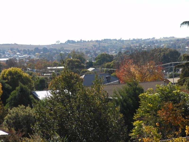 28 Cowper Street, Young NSW 2594
