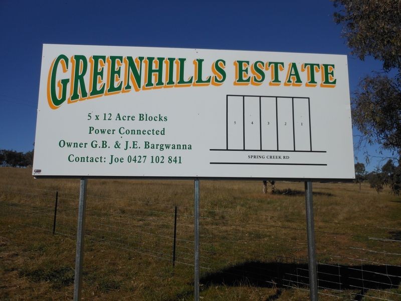 642 Spring Creek Road, Young NSW 2594