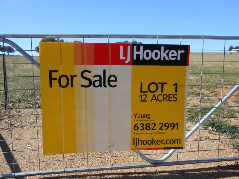 642 Spring Creek Road, Young NSW 2594