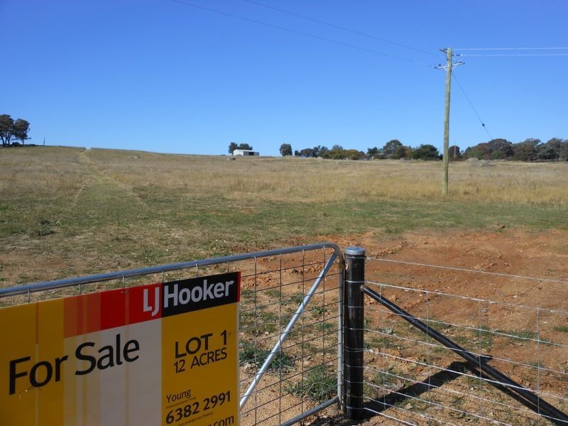 642 Spring Creek Road, Young NSW 2594