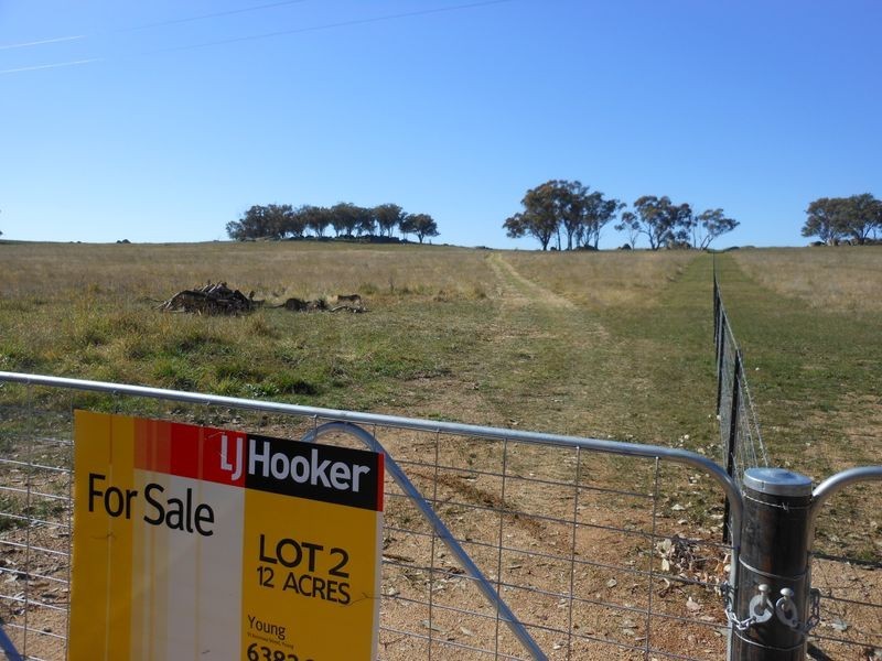 642 Spring Creek Road, Young NSW 2594