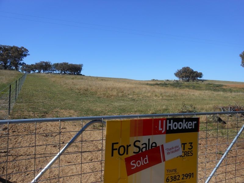 642 Spring Creek Road, Young NSW 2594