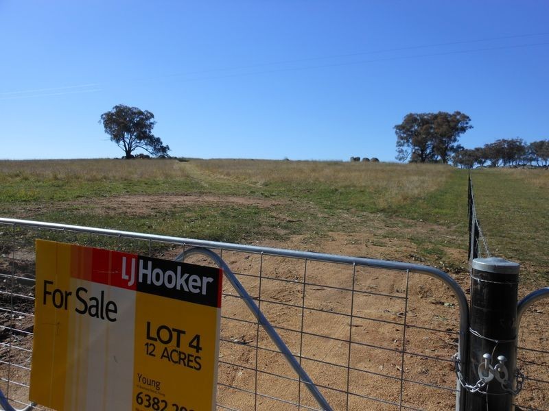 642 Spring Creek Road, Young NSW 2594