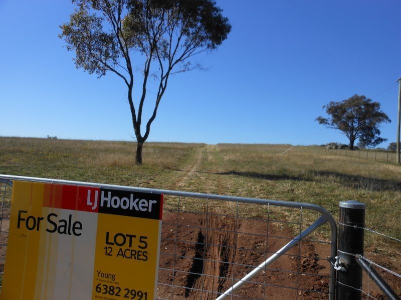 642 Spring Creek Road, Young NSW 2594