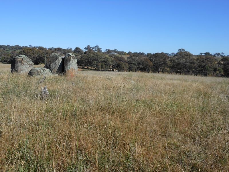 642 Spring Creek Road, Young NSW 2594