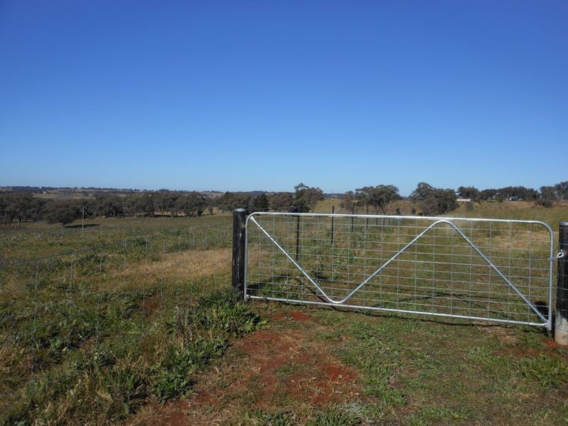 642 Spring Creek Road, Young NSW 2594