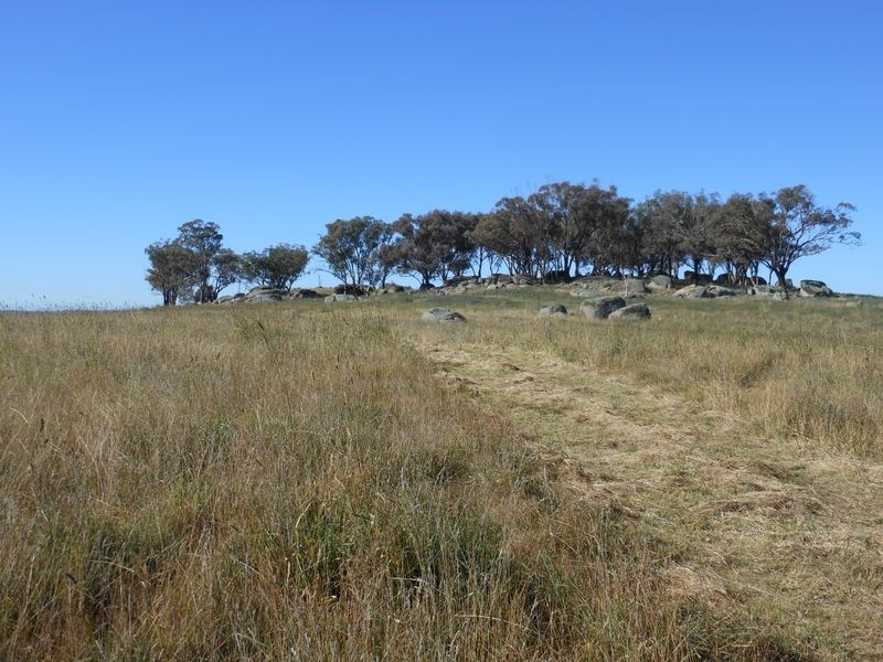 642 Spring Creek Road, Young NSW 2594