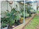 110 Edwards Street, Young NSW 2594