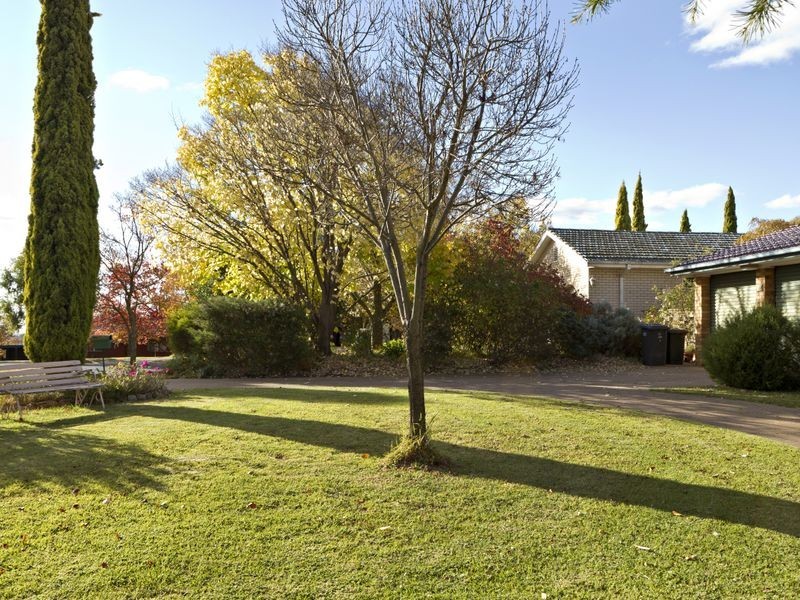 11 Normoyle Cresent, Young NSW 2594