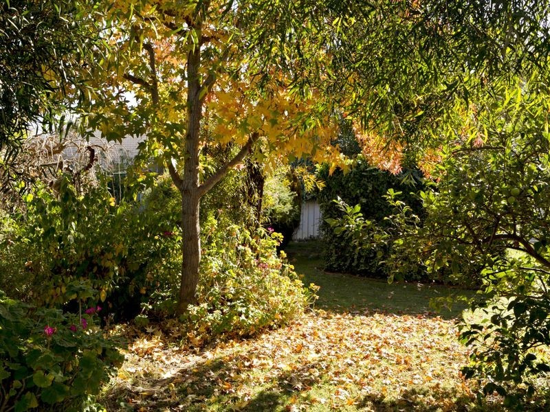 11 Normoyle Cresent, Young NSW 2594