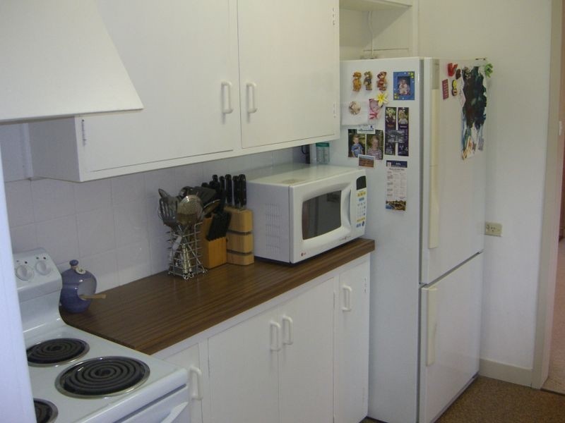 29 Nasmyth Street, Young NSW 2594