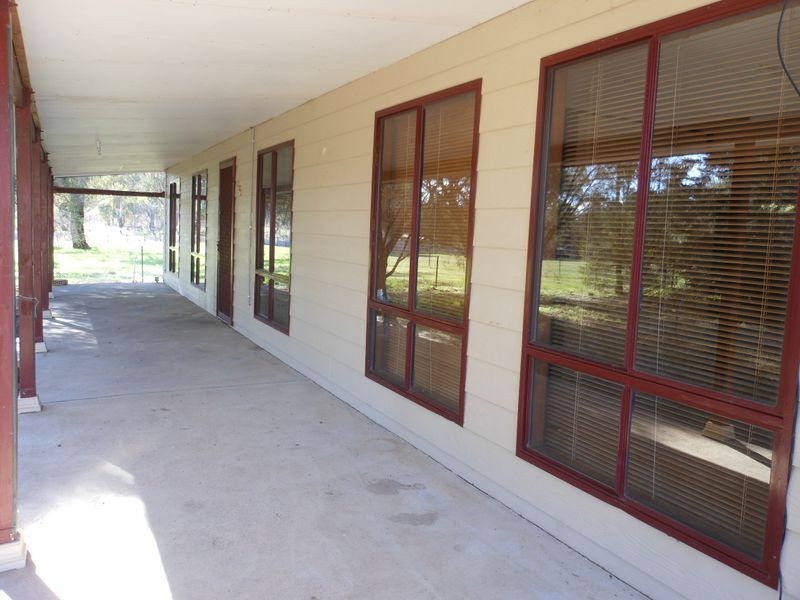 95 Boyds Lane, Young NSW 2594