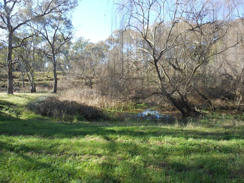 95 Boyds Lane, Young NSW 2594