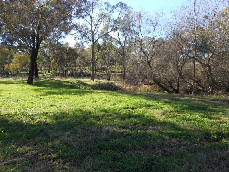 95 Boyds Lane, Young NSW 2594