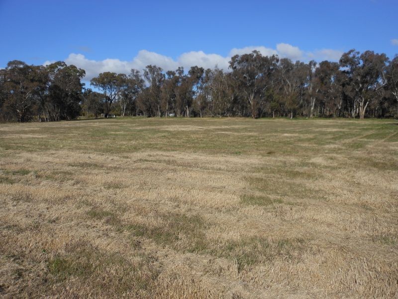 95 Boyds Lane, Young NSW 2594