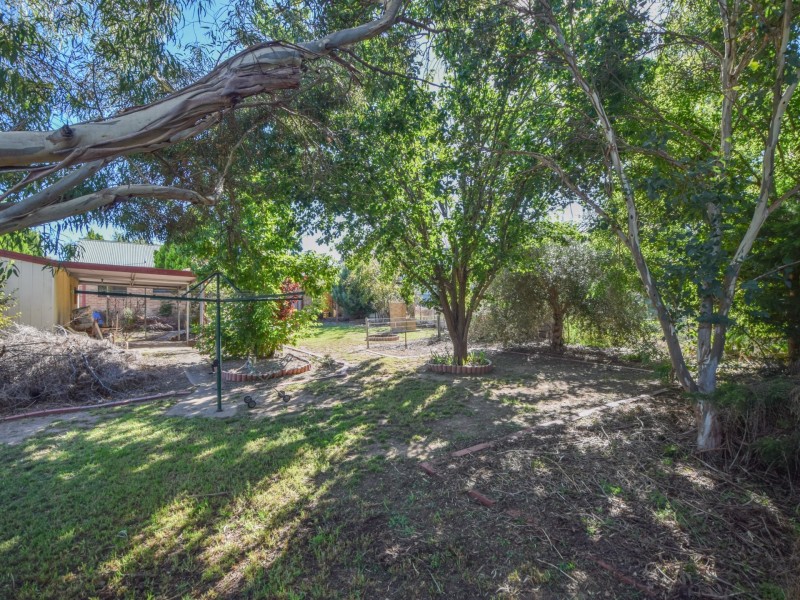 14 Brock Street, Young NSW 2594