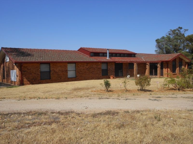 3313 Moppity Rd, Young NSW 2594