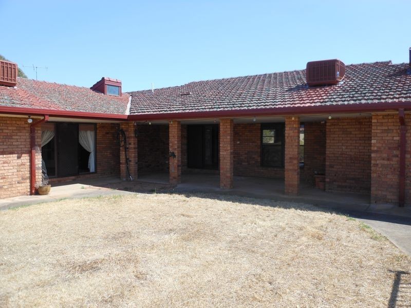 3313 Moppity Rd, Young NSW 2594