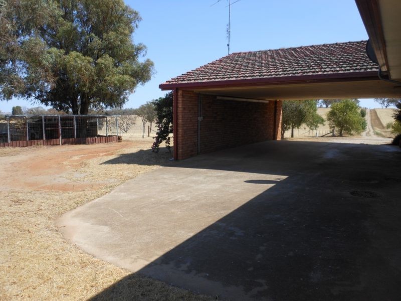 3313 Moppity Rd, Young NSW 2594