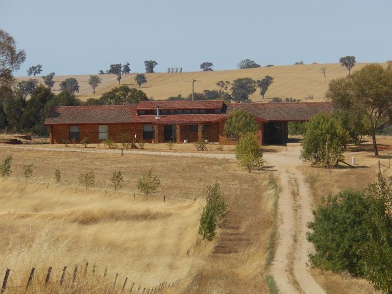 3313 Moppity Rd, Young NSW 2594