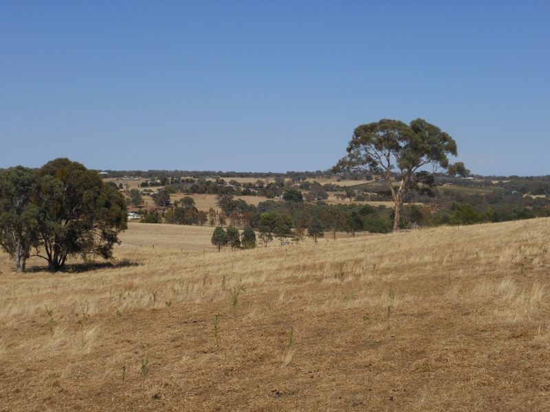 3313 Moppity Rd, Young NSW 2594