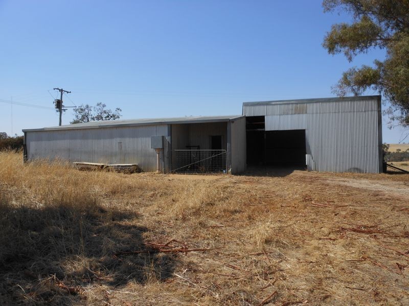 3313 Moppity Rd, Young NSW 2594