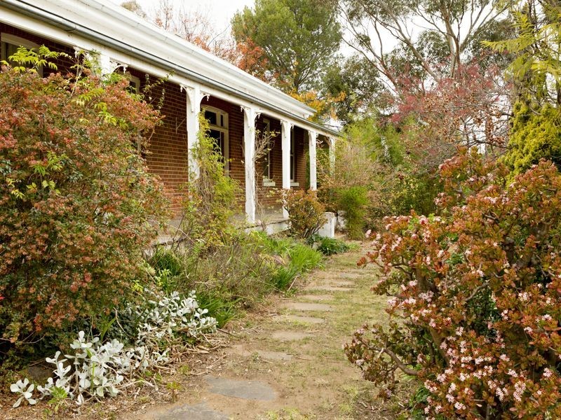 11 Dwyer Drive, Young NSW 2594