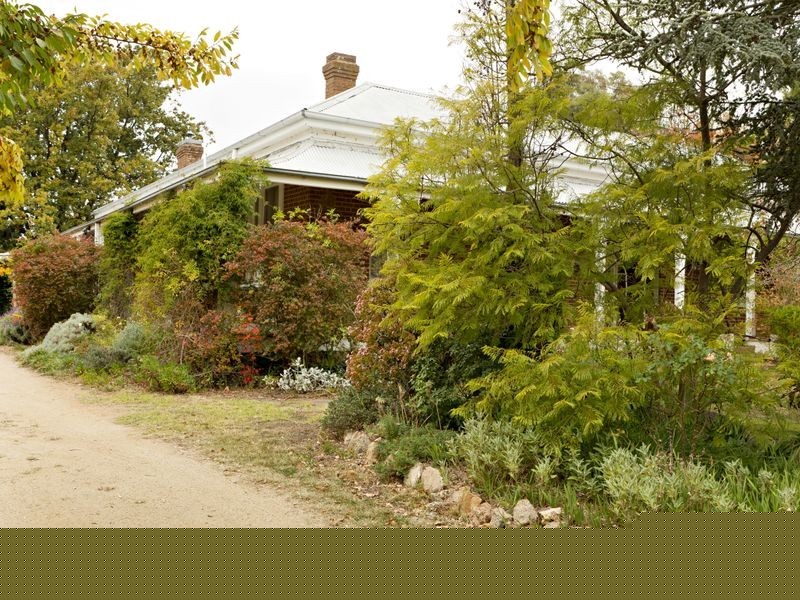 11 Dwyer Drive, Young NSW 2594