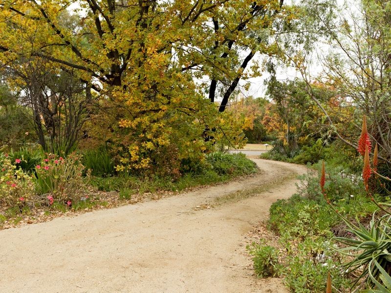 11 Dwyer Drive, Young NSW 2594